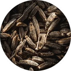Cumin Seeds