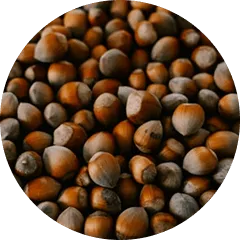 Drumstick Seeds
